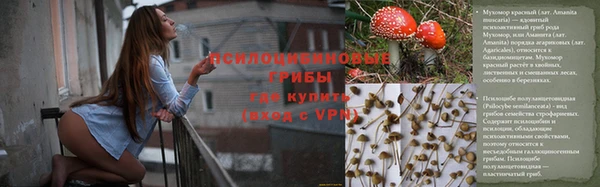 соль курить ск Белокуриха