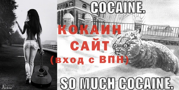 соль курить ск Белокуриха